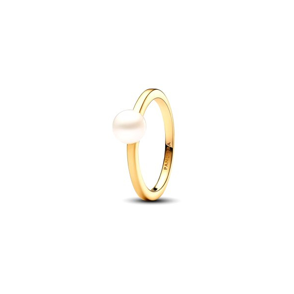 ANEL PANDORA SHINE TIMELESS