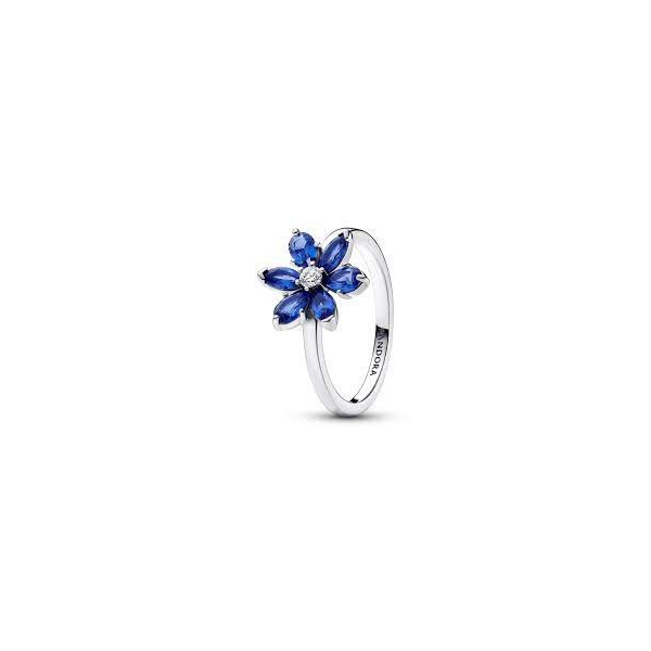 ANEL SPARKLING HERBARIUM CLUSTER RING