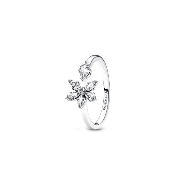 ANEL PANDORA ABERTO SPARKLING HERBARIUM
